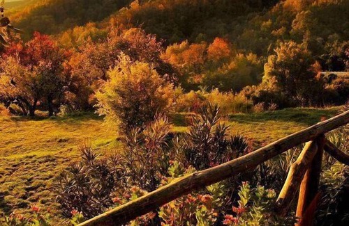 Maissana Other | Holiday apartment Tavarone for 2 - 4 persons with 1 bedroom - Farmhouse