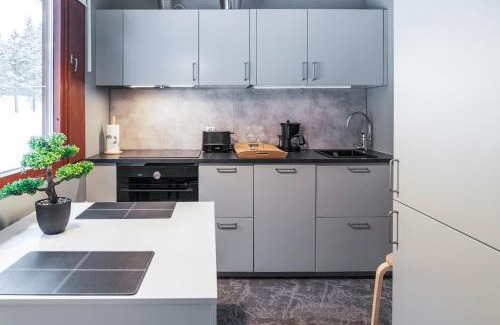 Suomutunturi House | Holiday Apartment Usva Studio II