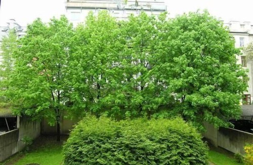Penzing Apartment | Holiday apartment Vienna for 1 - 2 persons - Holiday apartment
