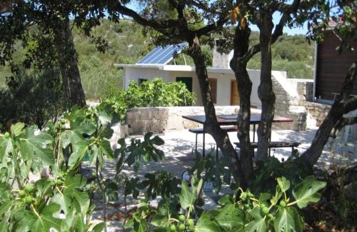 Zirje House | Holiday home Dusko - robinson