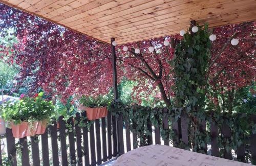 Gardony House | Holiday home in Agard - Velence-See 20586