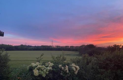 Wimborne House | Holiday home in Furzehill
