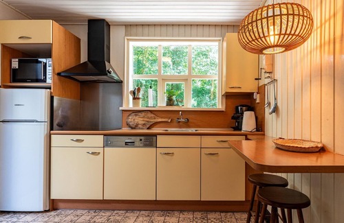 Breezand House | Holiday Home in Vrouwenpolder near Beach