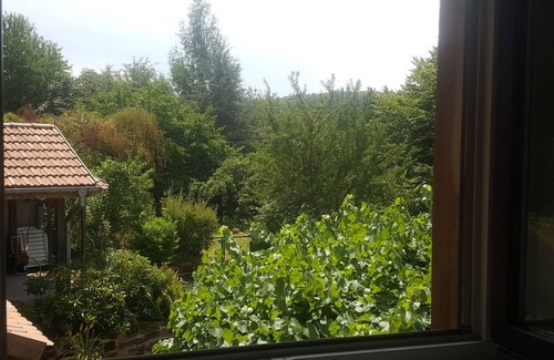 Tieffenbach House | Holiday Home "La Colline aux Oiseaux" with Terraces & Wi-Fi