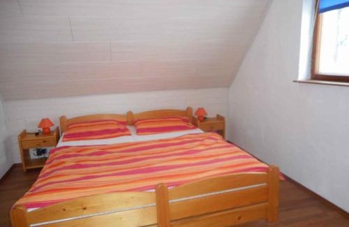 Nove Hamry House | Holiday home Nove Hamry - Erzgebirge 1646