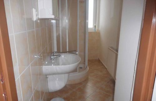 Nove Hamry House | Holiday home Nove Hamry - Erzgebirge 1646