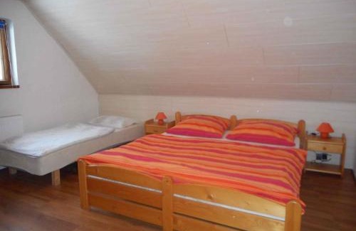 Nove Hamry House | Holiday home Nove Hamry - Erzgebirge 1646