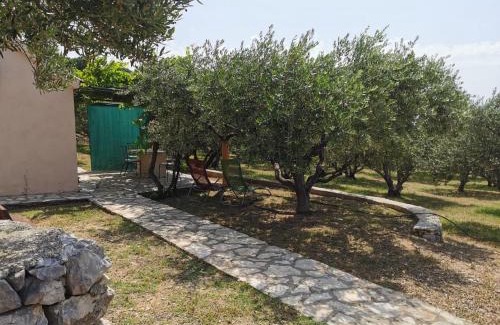 Bol House | Holiday home Oliva cottage