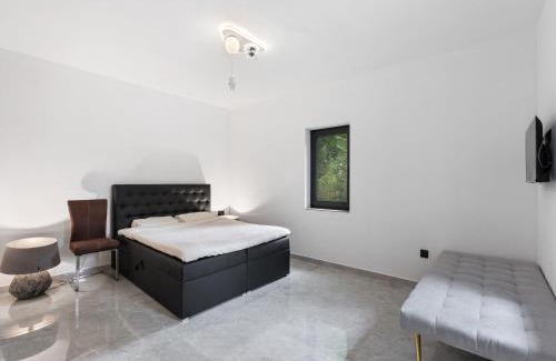 Dolni Laz House | Holiday Home Party & Friends Villa by Interhome