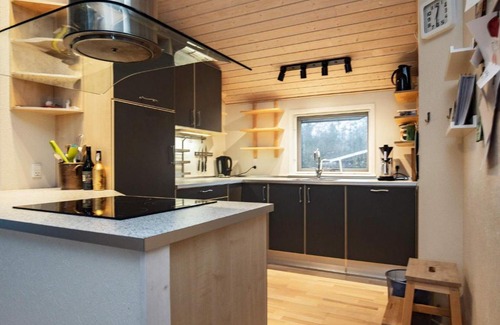 Ronbjerg House | Holiday home Roslev XVI