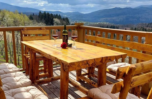 Novo Mesto House | Holiday home Stopar vineyard