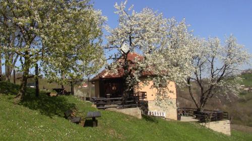 Dragolj House | Holiday Home Vila Kikovi