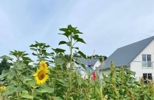 Altwarp House | Holiday house Altwarp for 1 - 2 persons with 1 bedroom - Holiday house