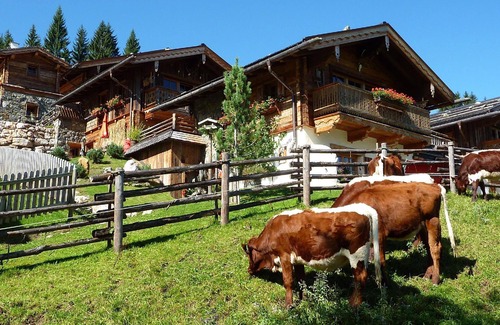 Hundsdorfl House | Holiday house Flachau for 1 - 8 persons with 3 bedrooms - Holiday house