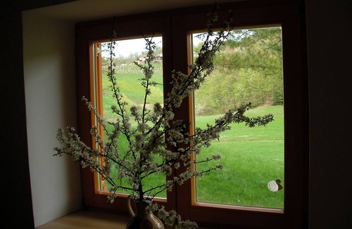 Zavrc House | Holiday house for rent in the vineyards