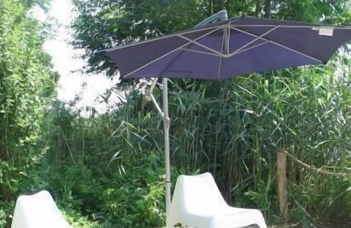 Gross Koeris House | Holiday house Groß Köris for 1 - 4 persons with 1 bedroom - Holiday house