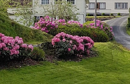 Suldal House | Holiday house Hebnes for 1 - 4 persons with 2 bedrooms - Holiday house