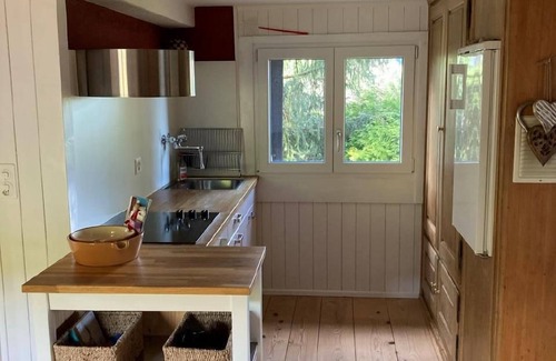 Hemberg Ski Chalet | Holiday house Hemberg for 1 - 2 persons with 1 bedroom - Farmhouse