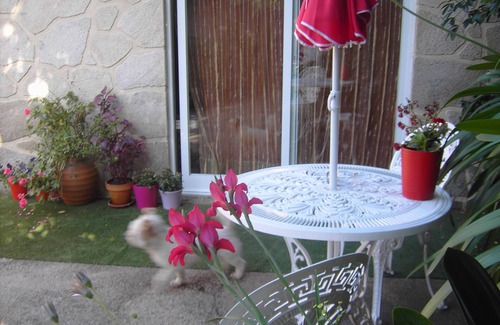 Ponte de Lima House | Holiday house in the countryside