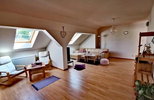 Psov Apartment | Holiday House Novosedly