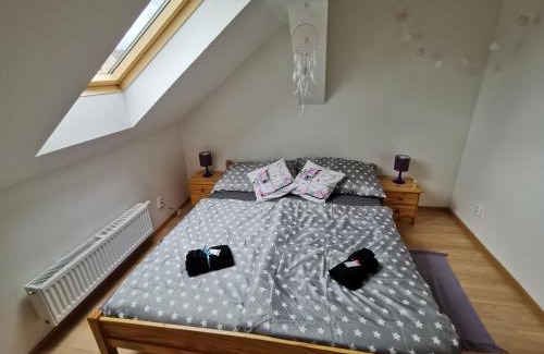 Psov Apartment | Holiday House Novosedly