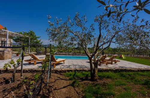 Drnis Villa | Holiday house Olive Tree