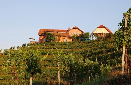 Videm House | Holiday house Ptuj for 1 - 12 persons with 4 bedrooms - Holiday house