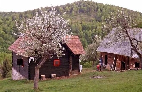 Saliste House | Holiday house Vale for 1 - 4 persons - Holiday home