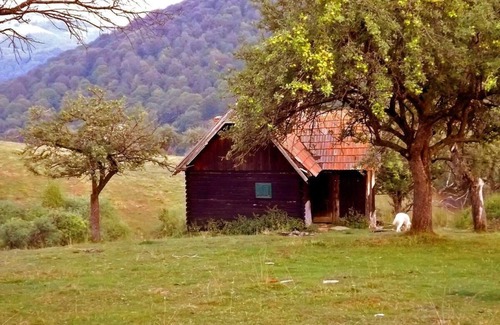 Saliste House | Holiday house Vale for 1 - 4 persons - Holiday home