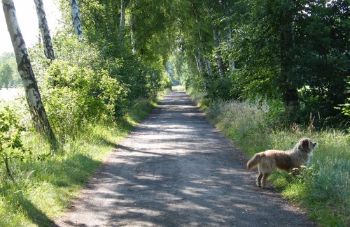 Schwachhausen House | Holiday house Wienhausen for 1 - 4 persons with 2 bedrooms - Holiday house