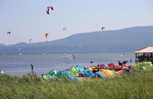 Opuzen House | Holiday house with a swimming pool Opuzen, Neretva Delta - Usce Neretve - 8818