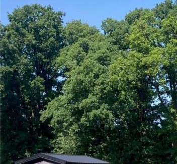 Deldenerbroek House | Holiday Hut
