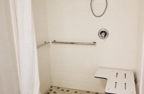 Birch Run Hotel | Holiday Inn Express Birch Run-Frankenmuth Area by IHG