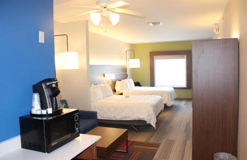 South Arlington Hotel | Holiday Inn Express Hotel & Suites Mansfield by IHG
