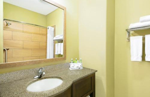 Monahans Hotel | Holiday Inn Express Hotel and Suites Monahans I-20 by IHG