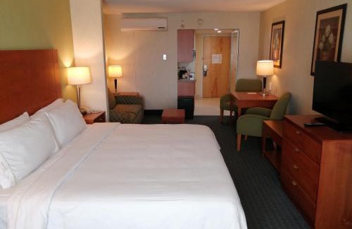 Toluca Hotel | Holiday Inn Express & Suites Toluca Zona Aeropuerto by IHG