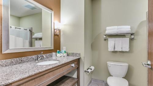 Wolfforth Hotel | Holiday Inn Express & Suites Lubbock Southwest – Wolfforth by IHG
