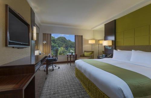 Somerset Hotel | Holiday Inn Singapore Orchard City Centre by IHG