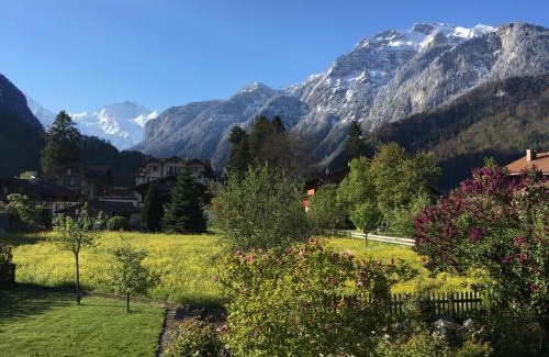 Wilderswil Apartment | Holidayapartment Sydach