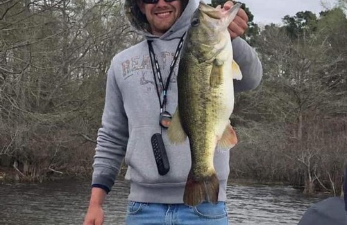 Milam Cabin | Holly Park Marina