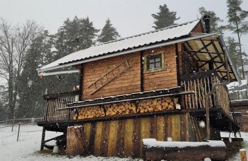 Saldenburg House | Holzhütte allein am Waldrand