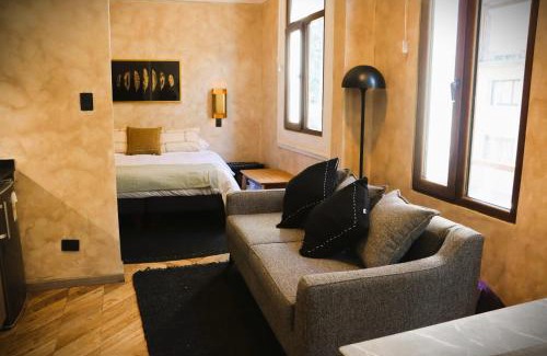 Bellas Artes Apartment | HOM I Cerca del museo Bellas Artes en Santiago, 2PAX