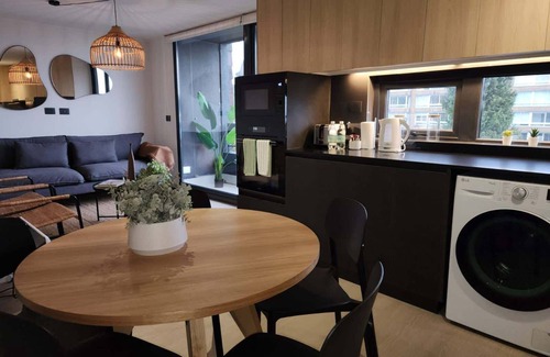 Puerto Varas Apartment | HOM I Vista Parcial al lago 2D2B