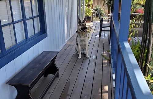 Carmel Valley House | Home available with dog allowed (fenced yard)