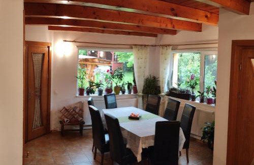Gura Raului House | Home Away From Home