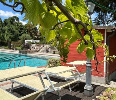 Capannori House | HOME HILL