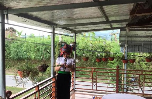 Van Chan House | Home stay Ngoc Thuyen