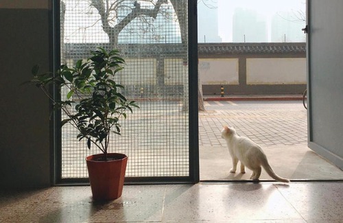 Xincheng House | HOME+ Xi'an