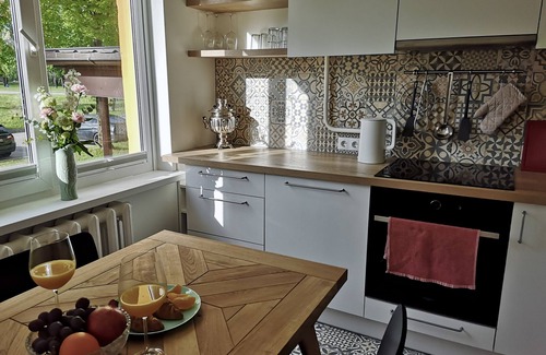 Kedainiai Apartment | Homely Apartment in Kedainiai