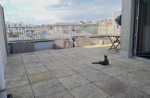 Bethnal Green Apartment | Homely Spacious 3 Bedrooms Duplex Roof-top Next Victoria Park & Regent's Canal